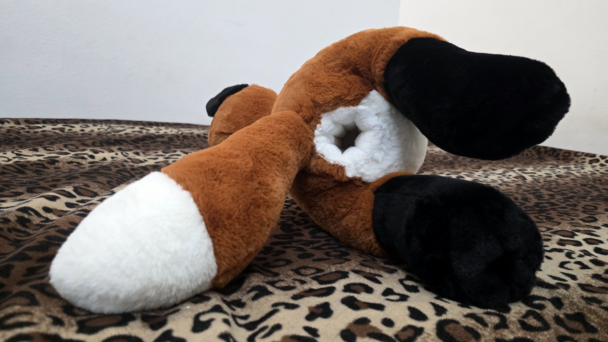 20260226_122122 (Copy)