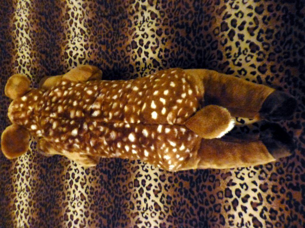 Plow Hearth Deer (For Sale)